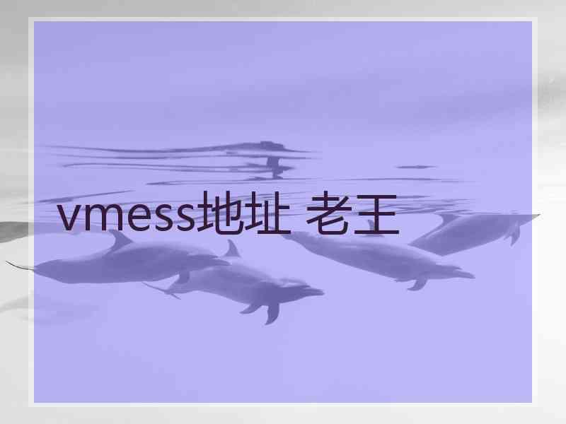 vmess地址 老王