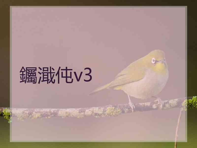 钃濈伅v3