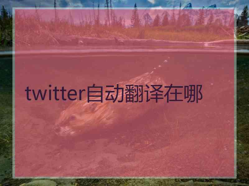 twitter自动翻译在哪