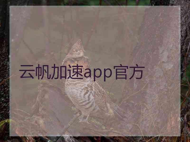 云帆加速app官方