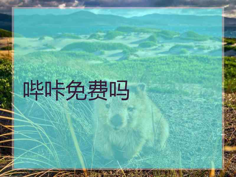 哔咔免费吗