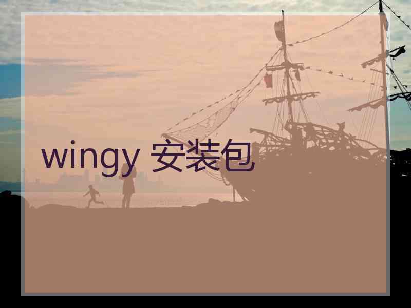 wingy 安装包