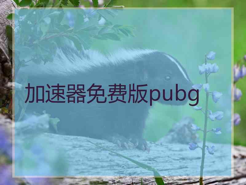 加速器免费版pubg