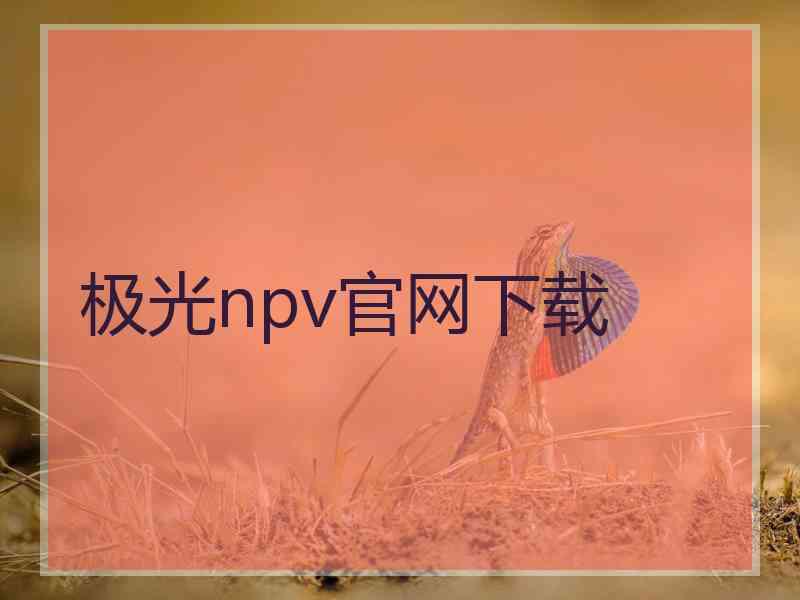 极光npv官网下载