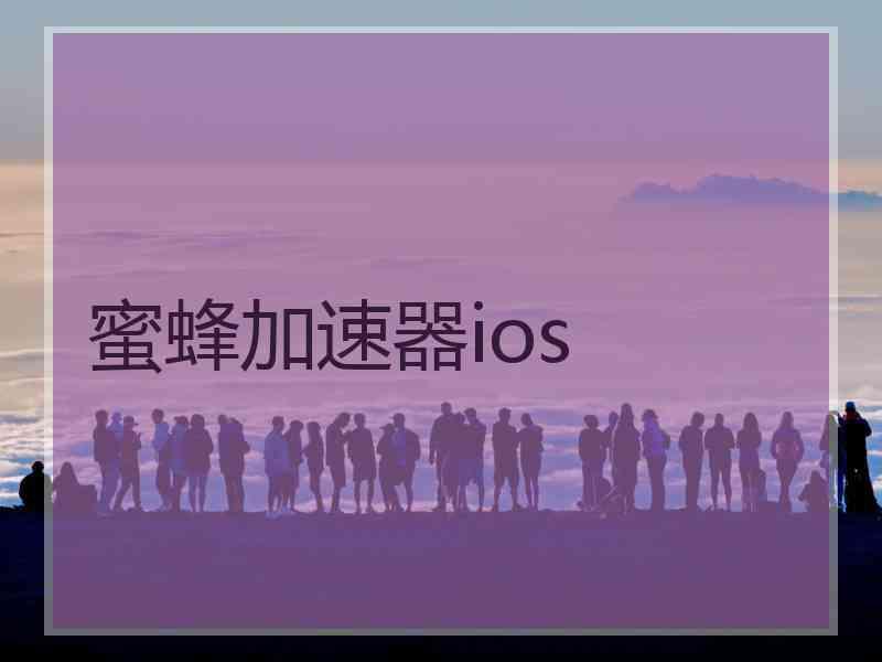 蜜蜂加速器ios