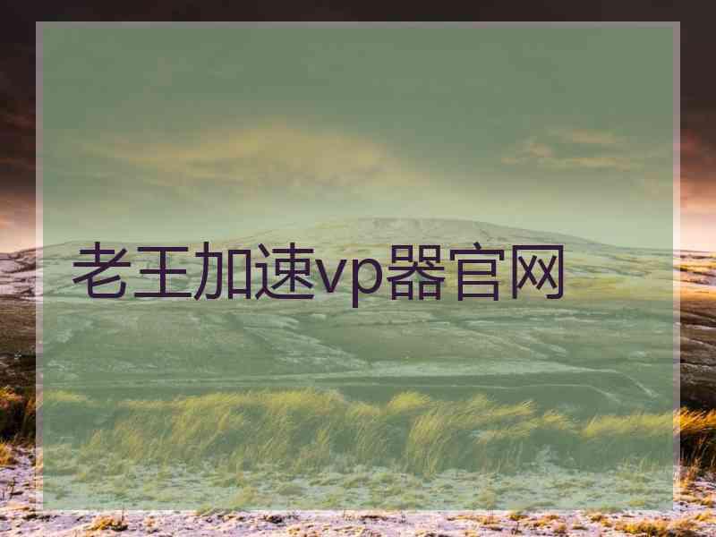 老王加速vp器官网