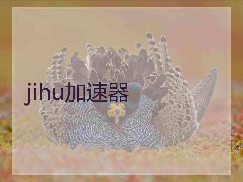 jihu加速器