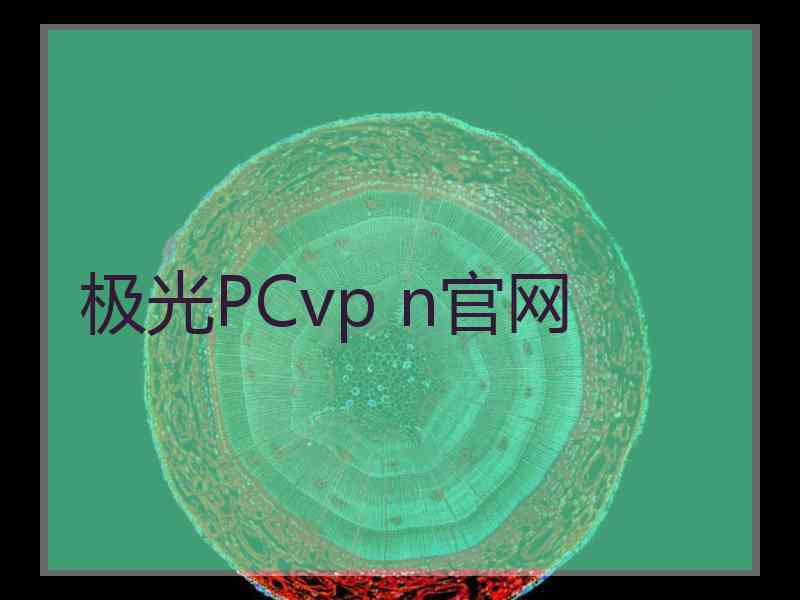 极光PCvp n官网