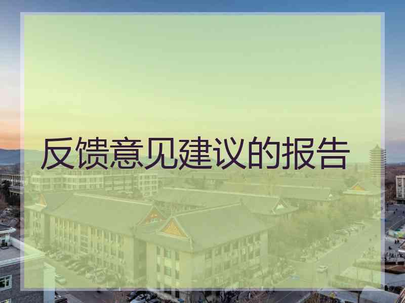 反馈意见建议的报告