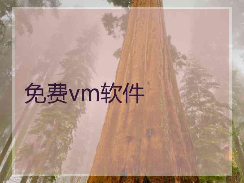 免费vm软件