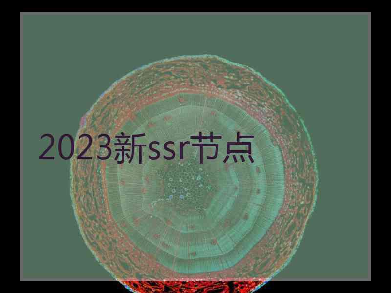 2023新ssr节点