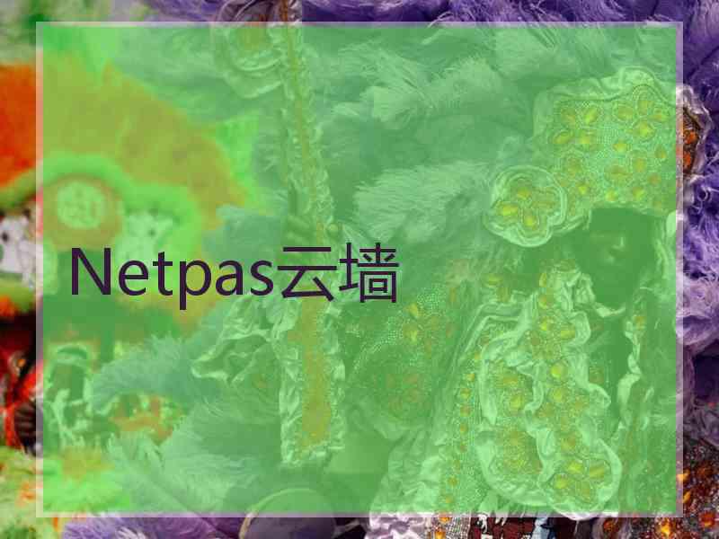 Netpas云墙