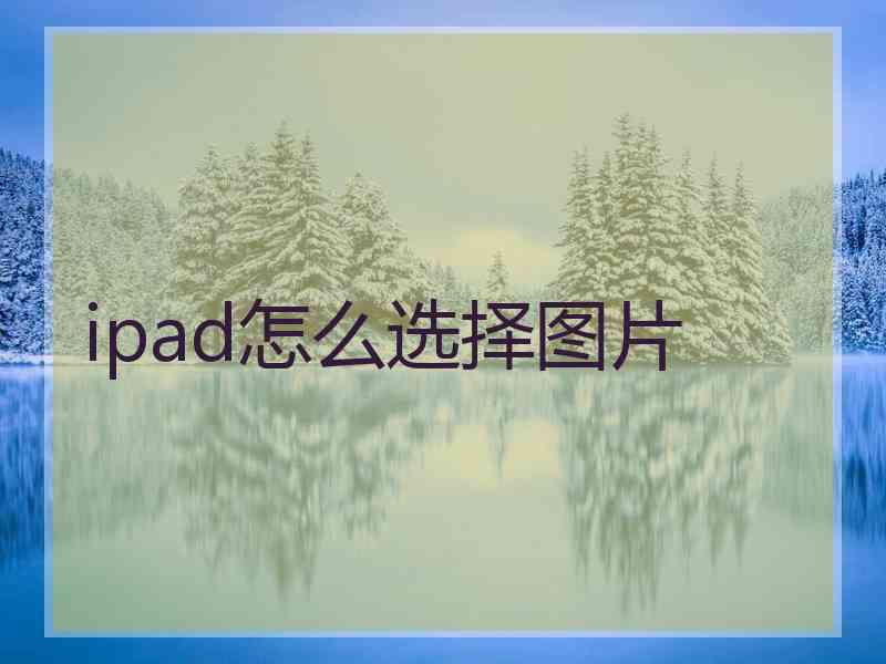 ipad怎么选择图片