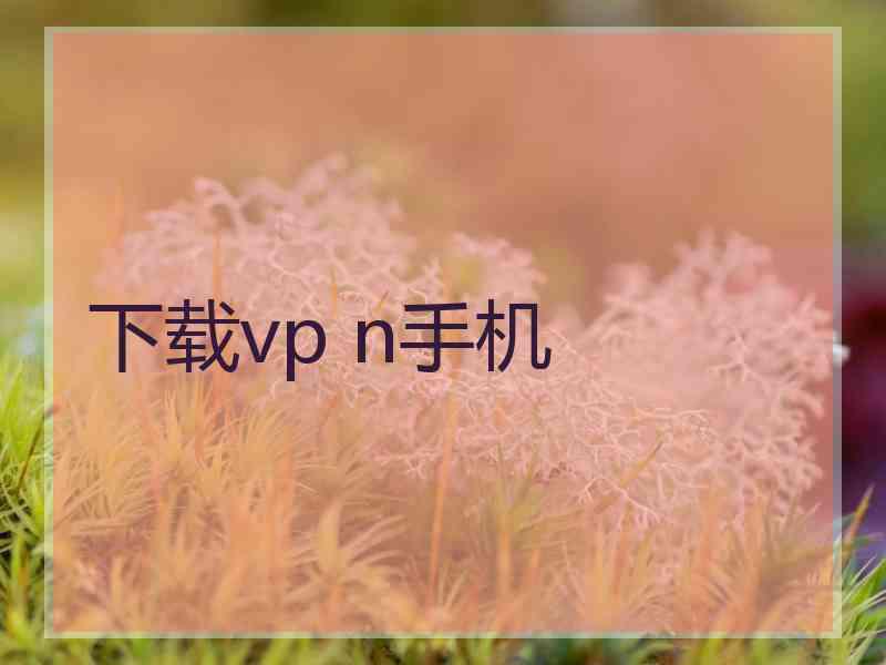 下载vp n手机