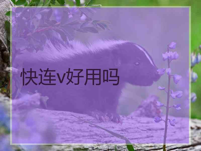 快连v好用吗