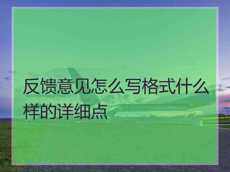 反馈意见怎么写格式什么样的详细点