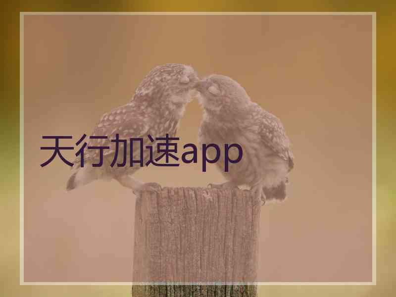 天行加速app