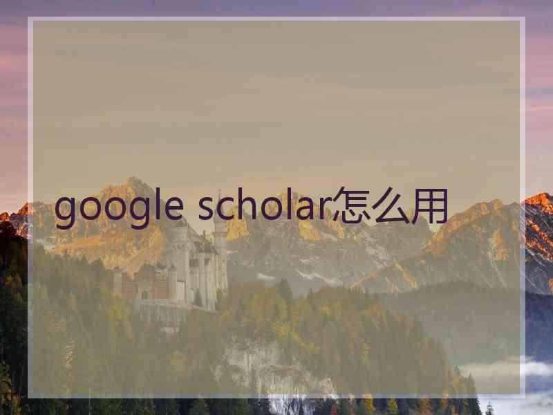 google scholar怎么用