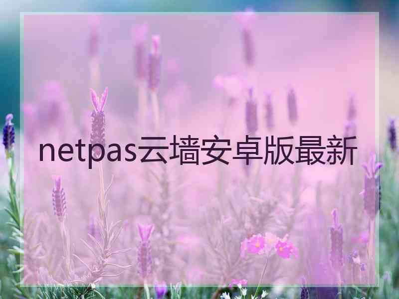 netpas云墙安卓版最新