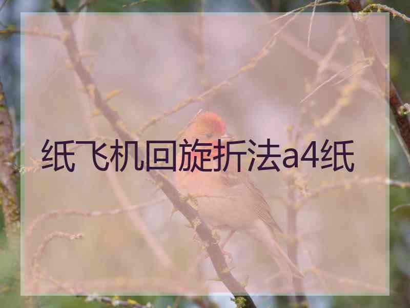 纸飞机回旋折法a4纸