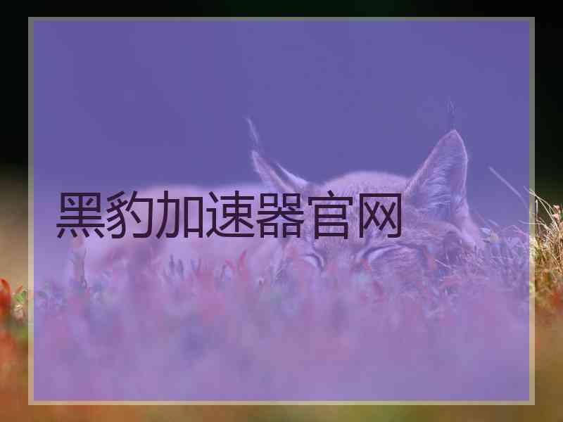 黑豹加速器官网