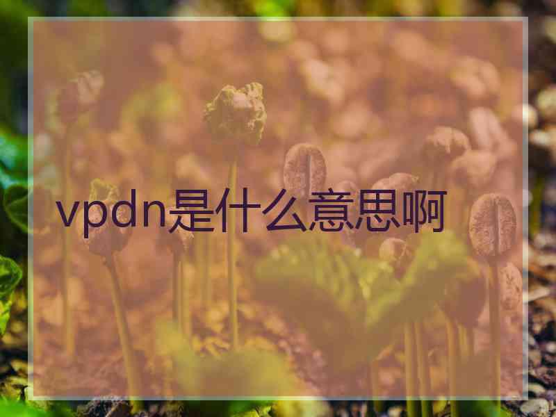 vpdn是什么意思啊