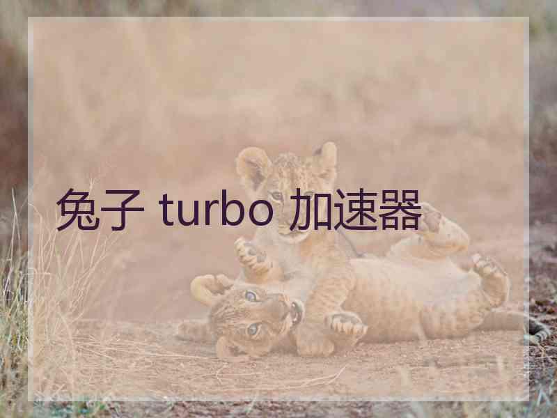 兔子 turbo 加速器