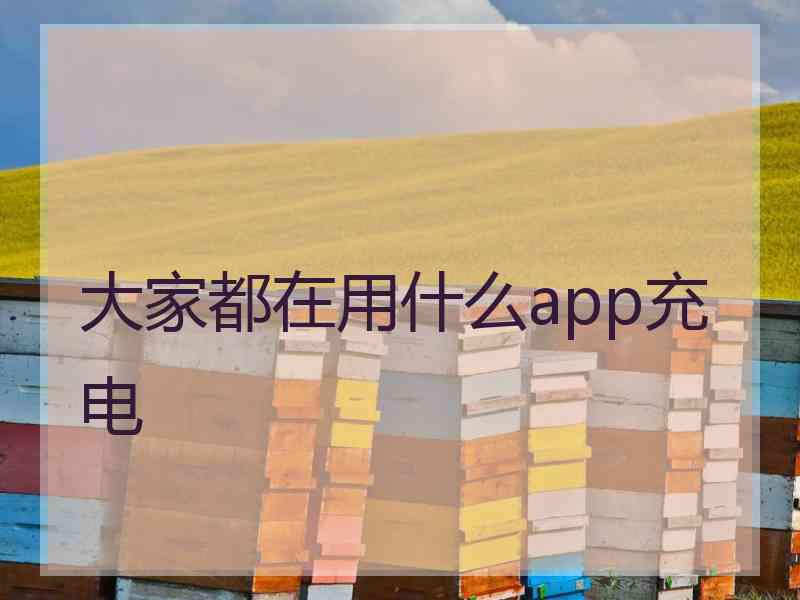 大家都在用什么app充电