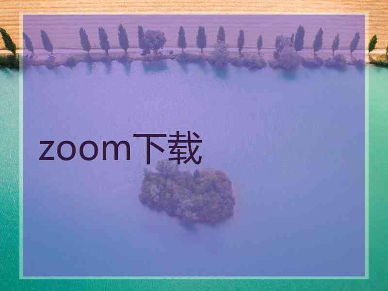 zoom下载