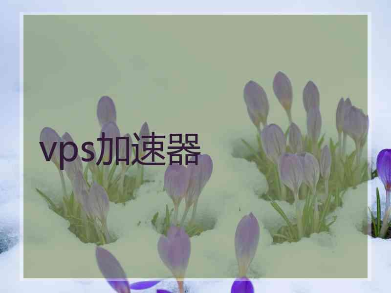 vps加速器