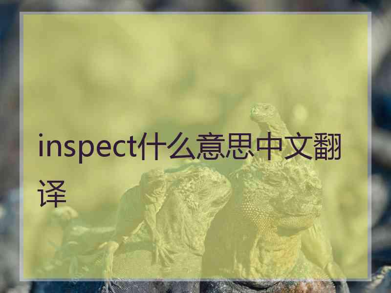 inspect什么意思中文翻译