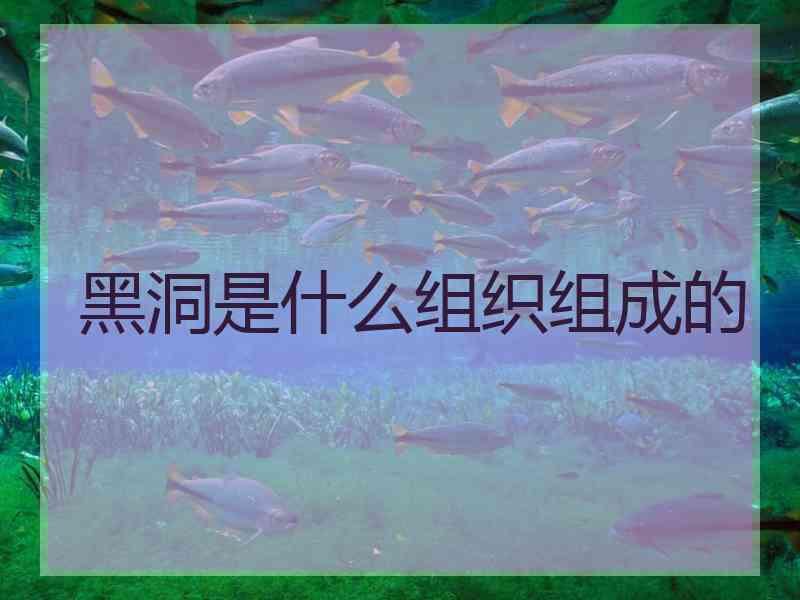 黑洞是什么组织组成的