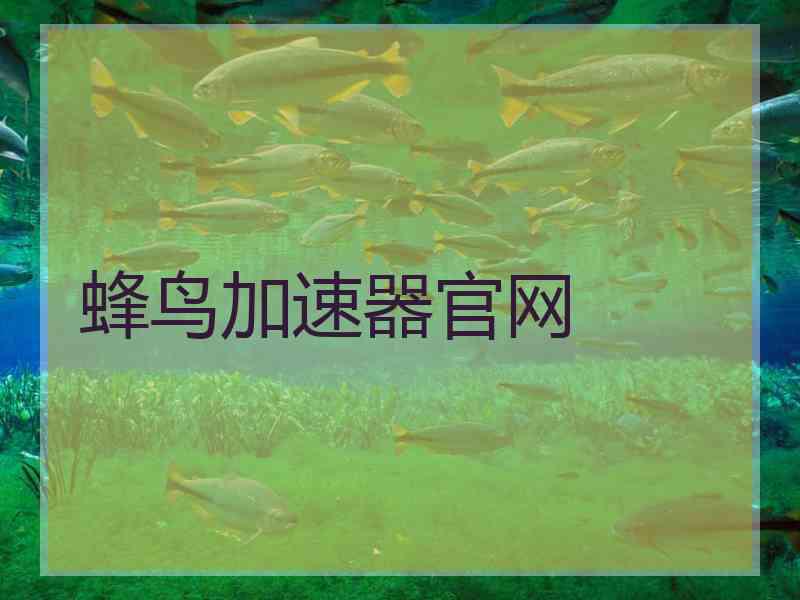 蜂鸟加速器官网