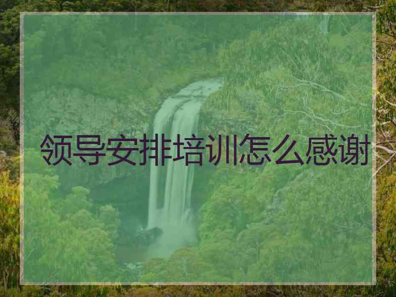 领导安排培训怎么感谢