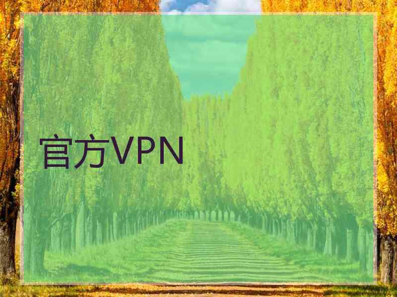 官方VPN