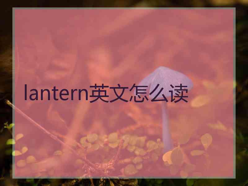 lantern英文怎么读