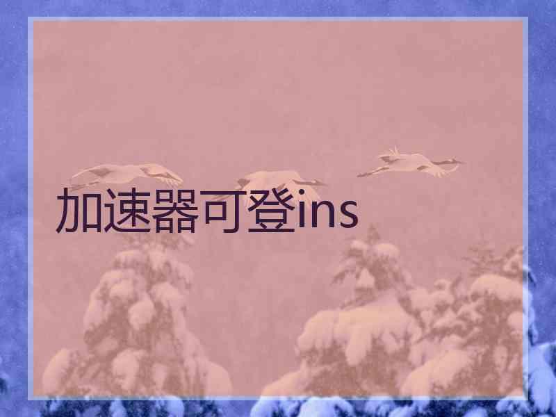 加速器可登ins