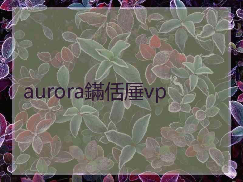 aurora鏋佸厜vp