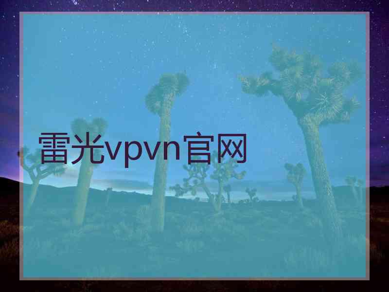 雷光vpvn官网