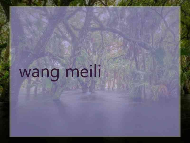 wang meili