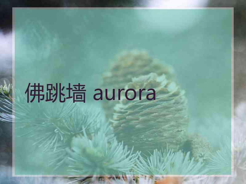 佛跳墙 aurora