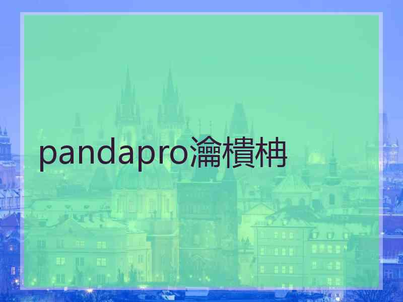 pandapro瀹樻柟