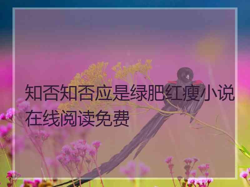 知否知否应是绿肥红瘦小说在线阅读免费