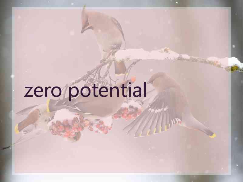 zero potential