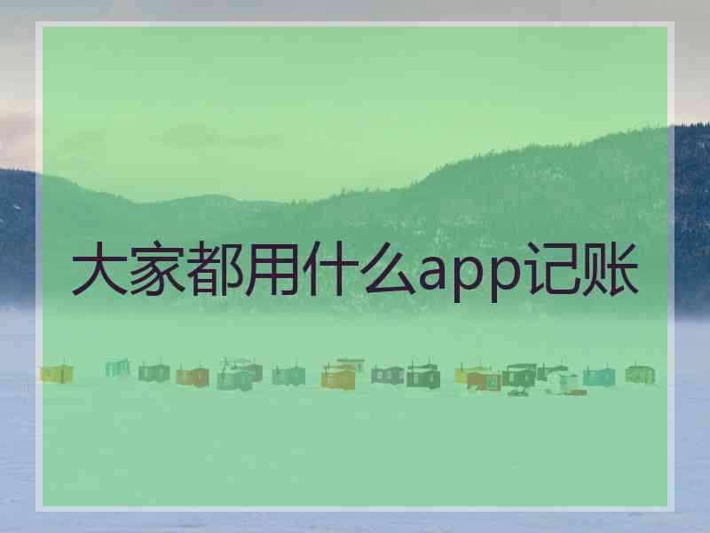 大家都用什么app记账