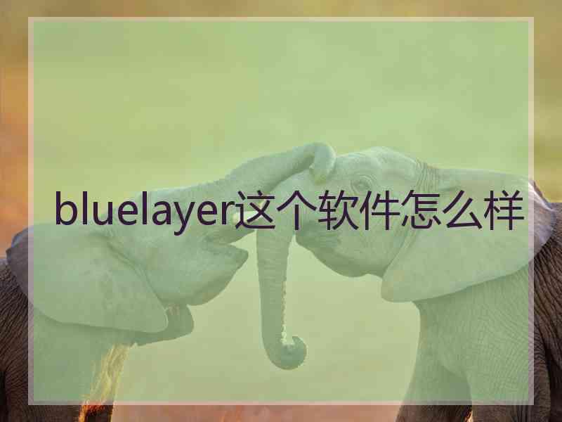 bluelayer这个软件怎么样