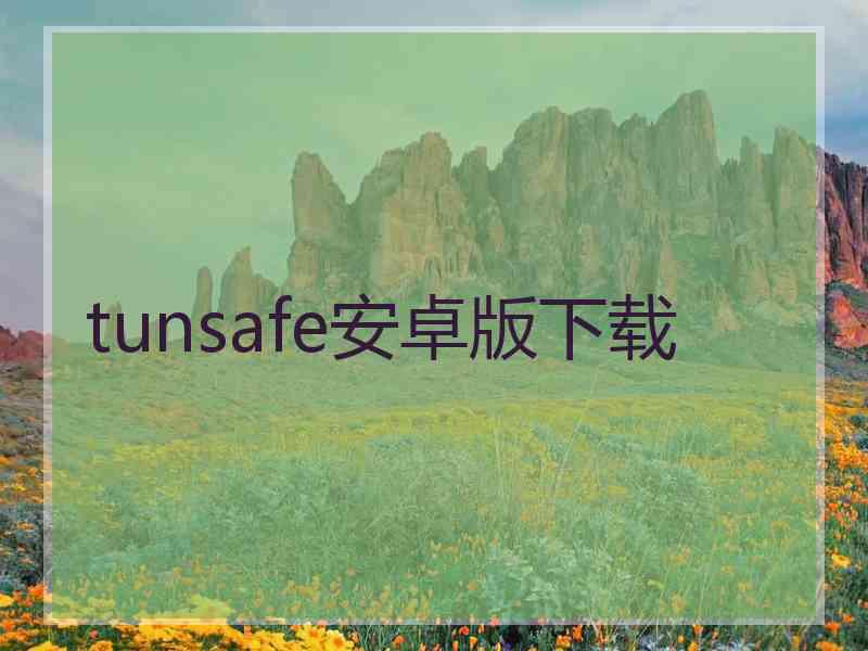 tunsafe安卓版下载