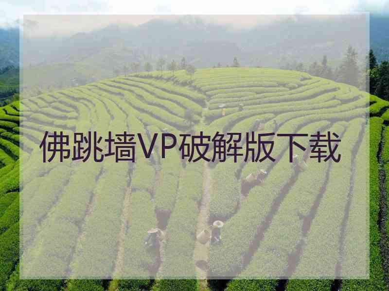 佛跳墙VP破解版下载