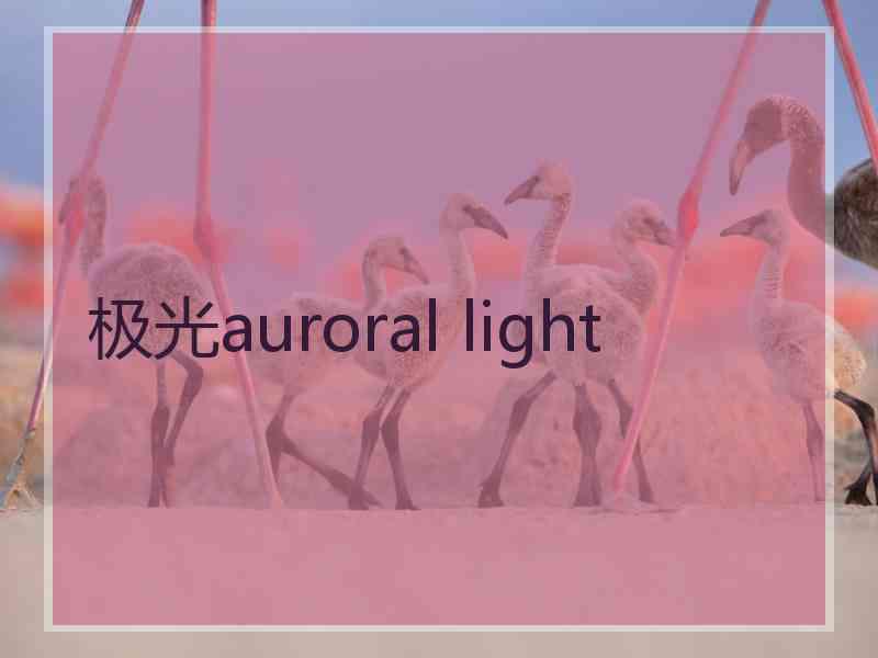 极光auroral light