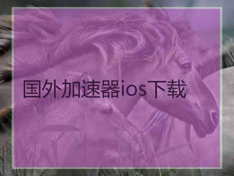 国外加速器ios下载